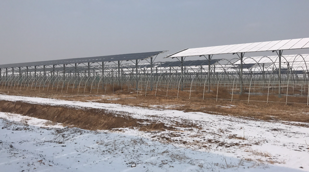農(nóng)業(yè)大棚多晶組件掃雪機(jī)器人